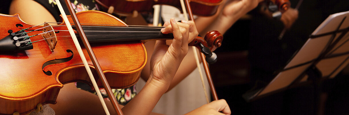 Row, group of anonymous violin players, children, people playing, bows in hands, stands in front, closeup. classical music concert simple performance kids orchestra string section / quartet performing