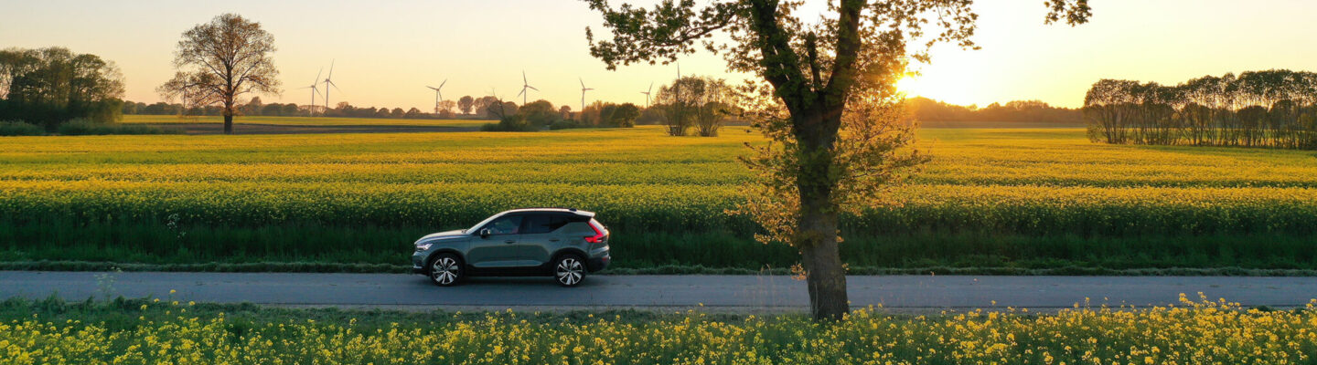 Graues Auto fährt auf einer Landstraße entlang eines blühenden Rapsfeldes, im Hintergrund Windräder und Sonnenuntergang hinter einem großen Baum.
