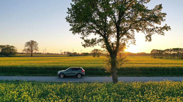 Graues Auto fährt auf einer Landstraße entlang eines blühenden Rapsfeldes, im Hintergrund Windräder und Sonnenuntergang hinter einem großen Baum.