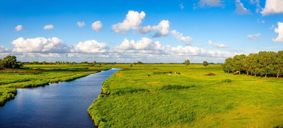 Panoramablick über eine weitläufige grüne Landschaft mit einem Kanal, unter blauem Himmel mit weißen Wolken; ein Kanal schlängelt sich durch Wiesen, auf denen vereinzelt Kühe grasen, und rechts steht eine Gruppe von Bäumen.